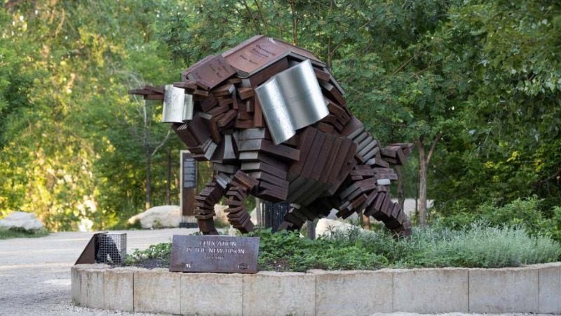"Education is the New Bison / Chi-kishkayhitamihk Si Te Li Neu Biizon" by Val T. Vint