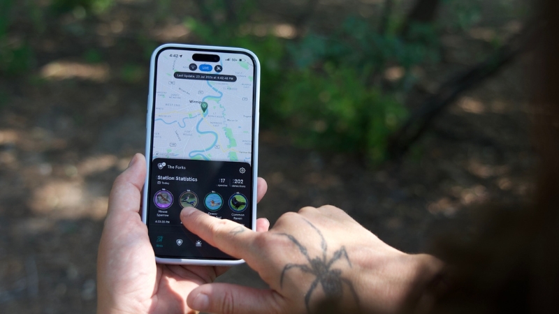 Phone with a map of birds.