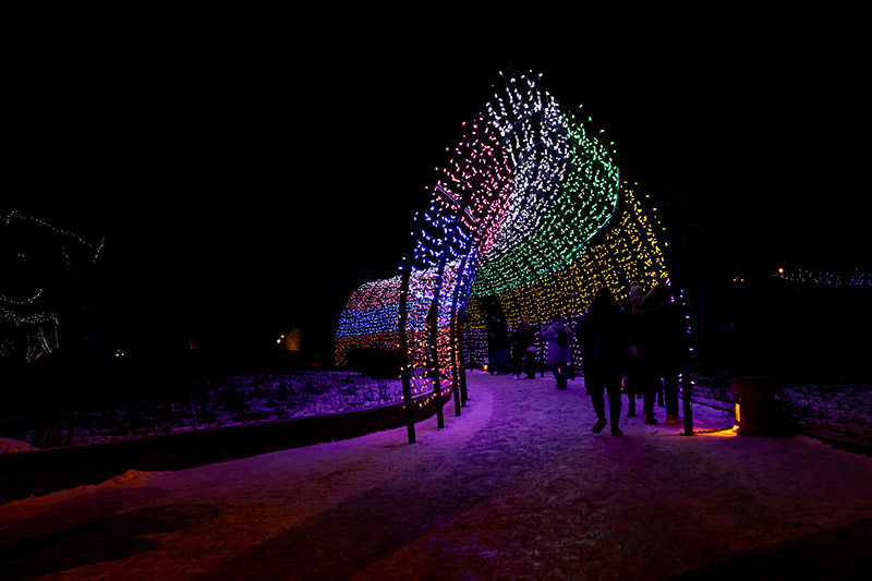 The Light Tunnel along the on-land skating trail at The Forks